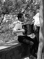 Picture Title - The accordionist