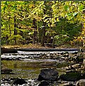 Picture Title - Autumn Brook