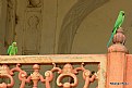 Picture Title - Parrot at Agra Fort