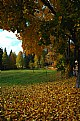 Picture Title - fall color