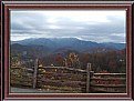 Picture Title - pretty view