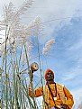 Picture Title - Folk Singer Of Bengal