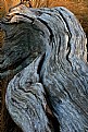 Picture Title - Weathered Wood No.1