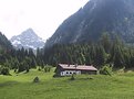 Picture Title - Alpine pasture
