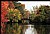 Autumn in Wampus Brook Park