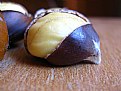 Picture Title - chestnut