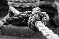 Picture Title - Knot my best