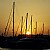 Masts in Backlight