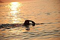 Picture Title - swimming