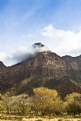 Picture Title - Fall colors in Zion Utah