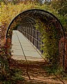 Picture Title - A Bridge to Adventure and Nature