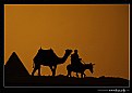 Picture Title - ..::In the Desert::..