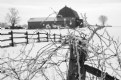 Picture Title - farmlife in Tiny Township