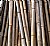 Bamboo Abstract