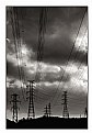 Picture Title - Pylons
