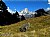 Meadow&Mountain