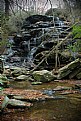 Picture Title - Yellow Branch Falls