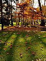 Picture Title - fall colors