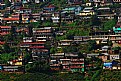 Picture Title - Darjeeling, India