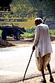 Picture Title - Across the road is my cart and buffalos