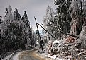 Picture Title - Ice Storm