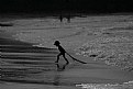 Picture Title - little girl on sea