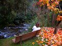 Picture Title - Looking at the river