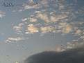 Picture Title - clouds_03