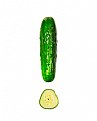 Picture Title - CUKE!!!