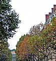 Picture Title - Autumnal Paris 44