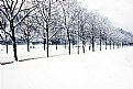 Picture Title - A Winter Walk