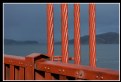 Picture Title - Golden Gate Bridge Cables