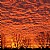 Red Sky at Morning