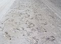 Picture Title - Foot Prints And Tracks