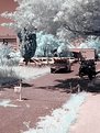 Picture Title - Infrared memories #7