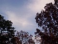 Picture Title - Brand New Day