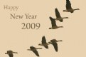 Picture Title - Happy New Year 