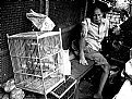 Picture Title - Pasar Ngasem