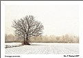 Picture Title - winter sites