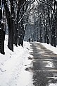 Picture Title - Winter day
