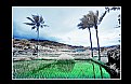 Picture Title - Rice farm