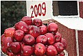 Picture Title - Rose Parade 2009