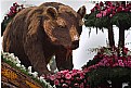 Picture Title - Rose Parade 2009