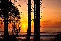 Picture Title - Washington Coast Silhouettes