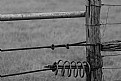 Picture Title - King Ranch fence