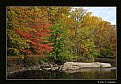 Picture Title - Pennypack Park (d2887)