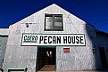 Picture Title - Pecan House