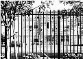 Picture Title - Barred