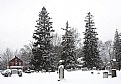 Picture Title - Winter 