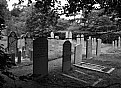 Picture Title - Jewish Cemetery